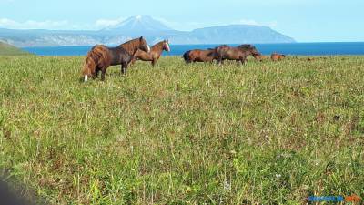 Крепость Итуруп - sakhalin.info
