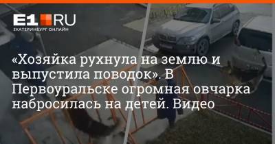«Хозяйка рухнула на землю и выпустила поводок». В Первоуральске огромная овчарка набросилась на детей. Видео - e1.ru - Екатеринбург - Первоуральск