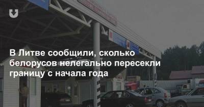 В Литве сообщили, сколько белорусов нелегально пересекли границу с начала года - news.tut.by - Ирак - Литва - Минск