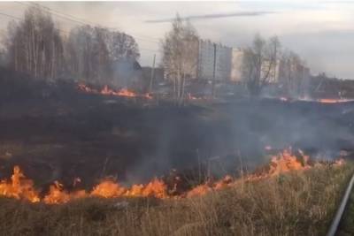 В Красноярске на Лысой горе вновь вспыхнула сухая трава - kras.mk.ru - Красноярский край - Красноярск