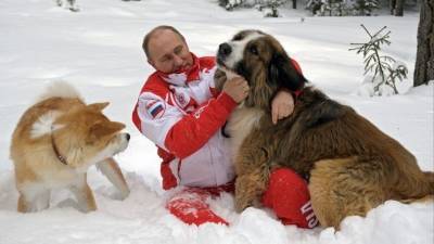 Сергей Шойгу - Владимир Путин - Дмитрий Песков - Ангела Меркель - Собаки или кошки: Песков рассказал о домашних животных Путина - 5-tv.ru