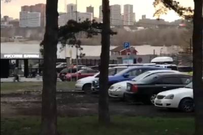 Припарковавшиеся на газоне Михайловской набережной водители возмутили новосибирцев - novos.mk.ru - Новосибирск