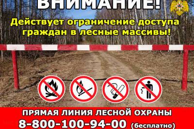 Смолянам ограничили доступ в лес из-за угрозы пожаров - mk-smolensk.ru - Смоленская обл.