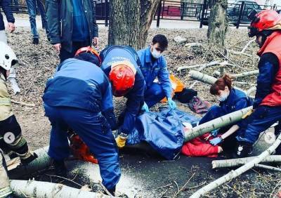 В Удмуртии умерла женщина, после того как на нее упало дерево - gorodglazov.com - респ. Удмуртия - Ижевск