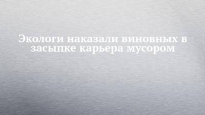 Экологи наказали виновных в засыпке карьера мусором - chelny-izvest.ru - Набережные Челны - Экология