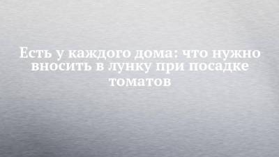 Есть у каждого дома: что нужно вносить в лунку при посадке томатов - chelny-izvest.ru