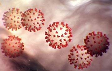 Ученые назвали страну-«лабораторию» по выведению новых штаммов коронавируса - charter97.org - Бразилия