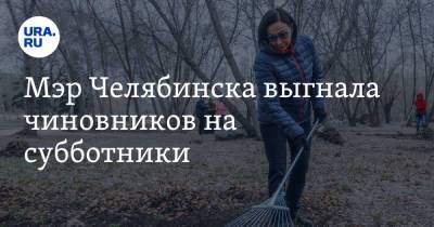 Наталья Котова - Мэр Челябинска выгнала чиновников на субботники - ura.news - Челябинск