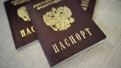 МВД: около 280 человек лишились российского гражданства с 2020 года - russian.rt.com
