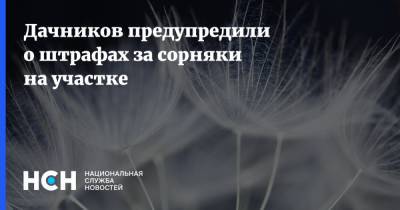 Дачников предупредили о штрафах за сорняки на участке - nsn.fm - Россия