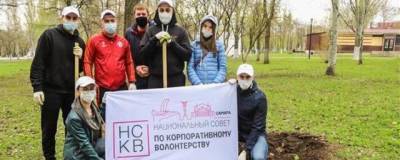 Владимир Путин - В Самаре волонтеры посадили березы в Парке победы - runews24.ru - Самара - Самарская обл. - Экология
