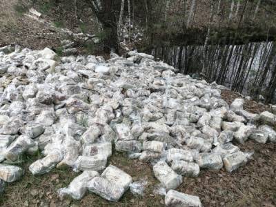 Свалку хлеба нашли в лесу в Нижегородской области - vgoroden.ru - Нижегородская обл.