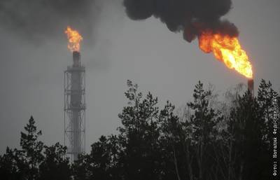 Наталия Федосенко - Поставки нефти из РФ в Белоруссию в мае снизятся в два раза к апрелю - interfax.ru - Москва - Белоруссия - Транснефть