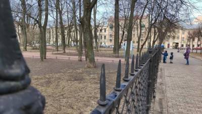 Парки и скверы Петербурга открыли после сильного ветра - piter.tv - Санкт-Петербург - Благовещенск