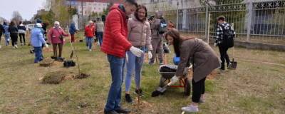 В Дзержинске высадили 60 берез в рамках акции «Сад Памяти» - runews24.ru - Дзержинск