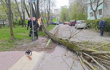 Деревья на авто, отключения электричества, сорванные крыши: что натворила стихия в Беларуси - charter97.org - Минск - Минская обл.