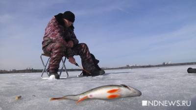 Рыбакам Югры запретили использовать сети - newdaynews.ru - Югра
