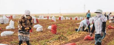Игорь Бабушкин - В Астраханскую область на полевые работы приехали 187 узбекистанцев - runews24.ru - Узбекистан - Астраханская обл.