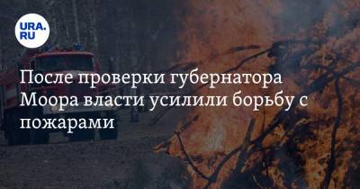 Александр Моор - После проверки губернатора Моора власти усилили борьбу с пожарами - ura.news - Тюменская обл.