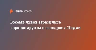 Восемь львов заразились коронавирусом в зоопарке а Индии - ren.tv - Индия - Прага - Хайдарабад