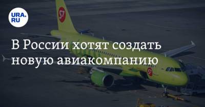 В России хотят создать новую авиакомпанию - ura.news