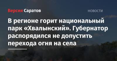Александр Соловьев - Валерий Радаев - Роман Бусаргин - В регионе горит национальный парк «Хвалынский». Губернатор распорядился не допустить перехода огня на села - nversia.ru - Саратовская обл.