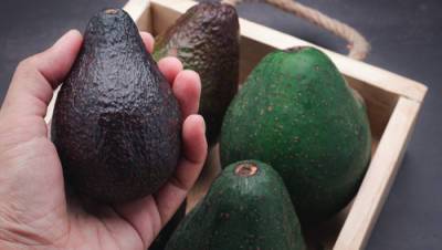 На рынке Нетании люди подрались плодами авокадо - vesty.co.il - Нетании
