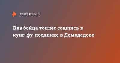 Два бойца топлес сошлись в кунг-фу-поединке в Домодедово - ren.tv - Московская обл. - Московская область