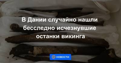 В Дании случайно нашли бесследно исчезнувшие останки викинга - news.mail.ru - Дания