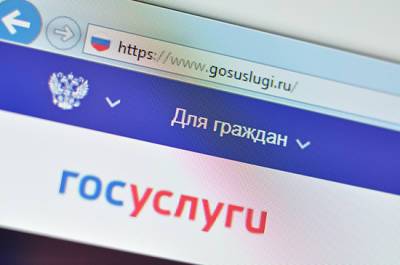 Михаил Мишустин - С июля решения по 62 видам госконтроля можно будет обжаловать досудебно - pnp.ru