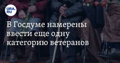 Светлана Бессараб - В Госдуме намерены ввести еще одну категорию ветеранов - ura.news