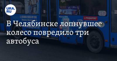 В Челябинске лопнувшее колесо повредило три автобуса - ura.news - Челябинск