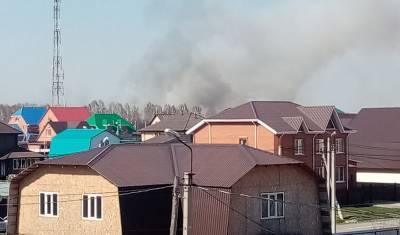 Жители Ишима вновь сообщают о пожарах около города - nashgorod.ru - Тюменская обл. - Ишим