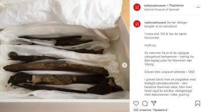 Археологи нашли потерянные 50 лет назад кости знатного викинга "в модных штанах" - nation-news.ru - Дания - Копенгаген