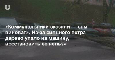 «Коммунальники сказали — сам виноват». Из-за сильного ветра дерево упало на машину, восстановить ее нельзя - news.tut.by - Минск