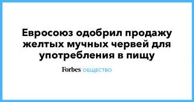 Евросоюз одобрил продажу желтых мучных червей для употребления в пищу - forbes.ru - Европа