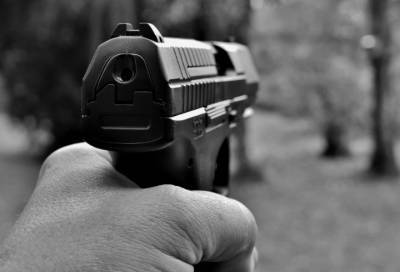 В Гатчине задержали мужчину, открывшего стрельбу из травмата после дорожного конфликта - online47.ru - Ленинградская обл. - Санкт-Петербург