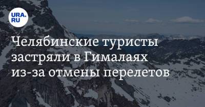 Алексей Левин - Челябинские туристы застряли в Гималаях из-за отмены перелетов - ura.news - Челябинск - Непал - Катманду