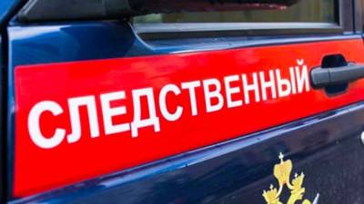 Владислава Грин - Прокуроры нашли грубые нарушения при перевозке детей, погибших в ДТП на Ставрополье - nation-news.ru - Волгоградская обл. - Ставрополье