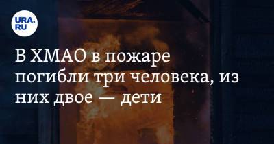 В ХМАО в пожаре погибли три человека, из них двое — дети - ura.news - Югра