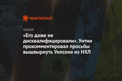 Артемий Панарин - Павел Бучневич - Томас Уилсон - «Его даже не дисквалифицировали». Уитни прокомментировал просьбы вышвырнуть Уилсона из НХЛ - championat.com - Вашингтон - Нью-Йорк