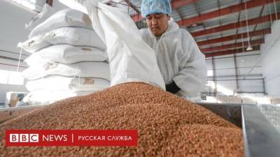 Россия временно запретила экспорт гречки. Власти опасаются роста цен - smartmoney.one