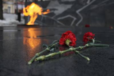«Судьба солдата. Онлайн»: более 650 заявок поступило поисковикам Подмосковья - vm.ru - Московская обл. - Московская область