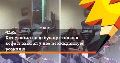 Кот уронил на девушку стакан с кофе и вызвал у нее неожиданную реакцию - ridus.ru
