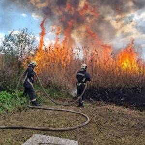 В Днепровском районе Запорожья сгорел почти гектар камыша. Фото - reporter-ua.com - Запорожская обл. - Запорожье - Новости - Гсчс