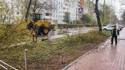 Порывистый ветер повалил дерево на дорогу в Советском районе - vgoroden.ru - Нижний Новгород - р-н Советский - Благоустройство