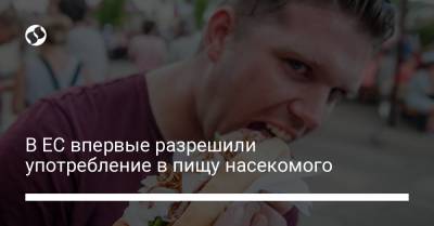 В ЕС впервые разрешили употребление в пищу насекомого - liga.net