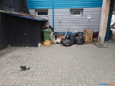 Холмчане стыдятся ежегодной свалки на территории морвокзала - sakhalin.info - Холмск