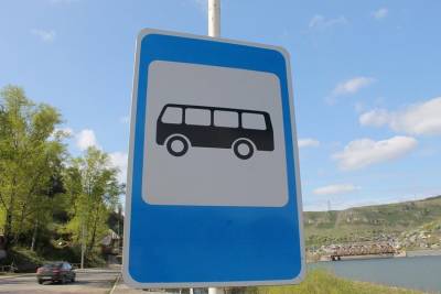 В Уфе посетителей праздничных салютов 9 мая будут развозить дополнительные автобусы и троллейбусы - ufacitynews.ru - Уфа