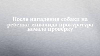 Руслан Галиев - После нападения собаки на ребенка-инвалида прокуратура начала проверку - chelny-izvest.ru - респ. Татарстан - район Тукаевский